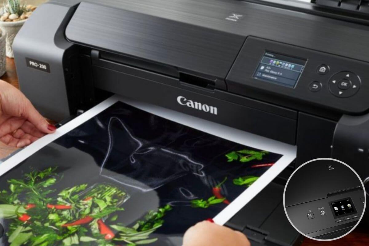 Canon Printer Won't Scan